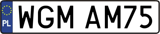 WGMAM75