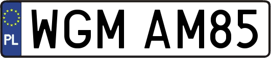 WGMAM85