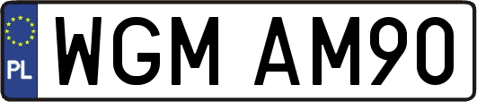WGMAM90