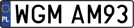 WGMAM93