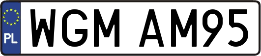 WGMAM95