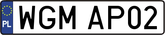 WGMAP02