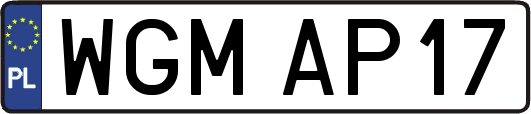 WGMAP17