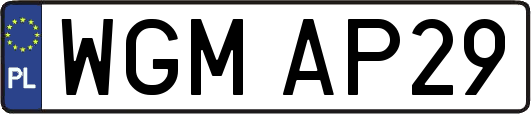 WGMAP29