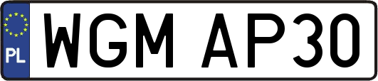 WGMAP30