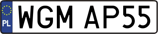 WGMAP55