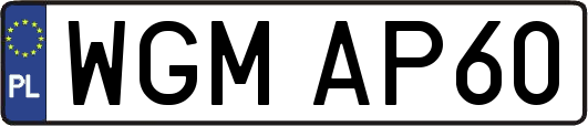 WGMAP60