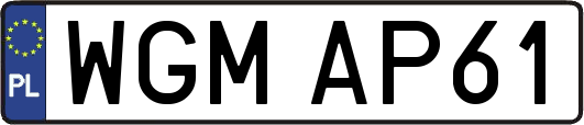 WGMAP61