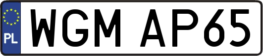 WGMAP65
