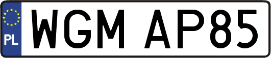 WGMAP85