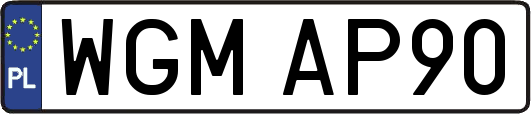 WGMAP90