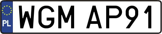 WGMAP91
