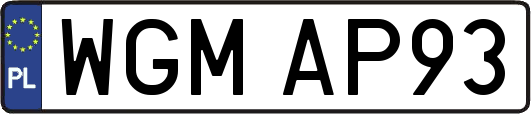 WGMAP93