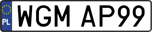 WGMAP99