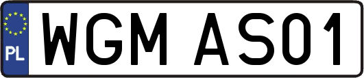 WGMAS01