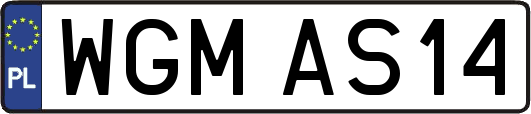 WGMAS14