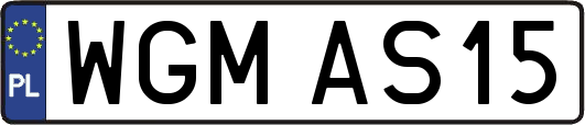 WGMAS15