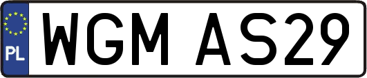 WGMAS29