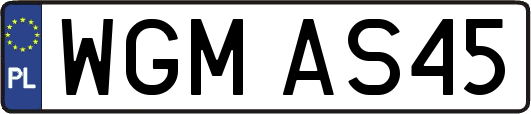 WGMAS45