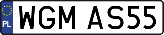 WGMAS55