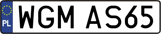 WGMAS65