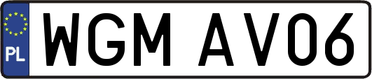 WGMAV06