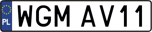 WGMAV11