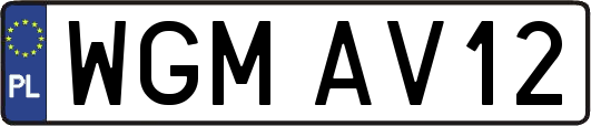 WGMAV12