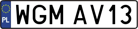 WGMAV13