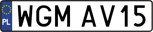 WGMAV15