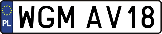 WGMAV18