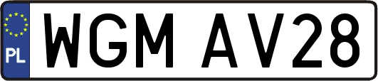 WGMAV28