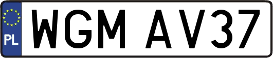 WGMAV37