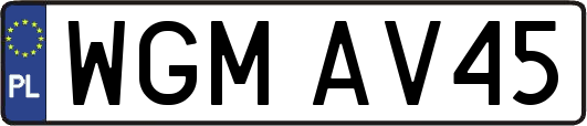 WGMAV45