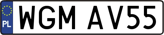 WGMAV55