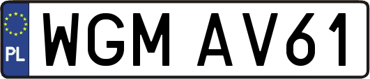 WGMAV61