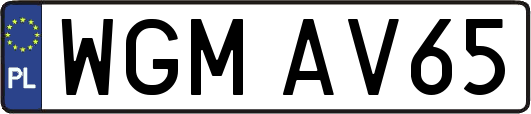 WGMAV65