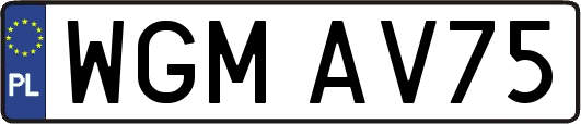 WGMAV75