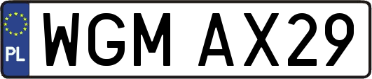 WGMAX29