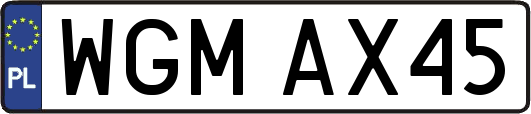 WGMAX45