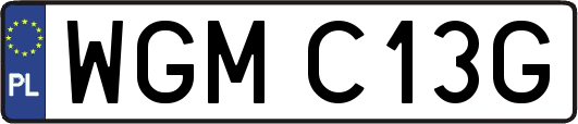WGMC13G