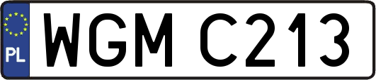 WGMC213