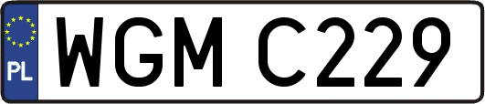 WGMC229