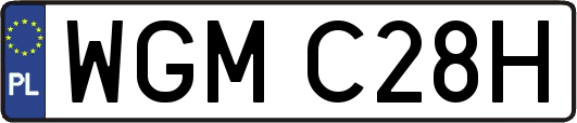 WGMC28H