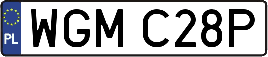WGMC28P