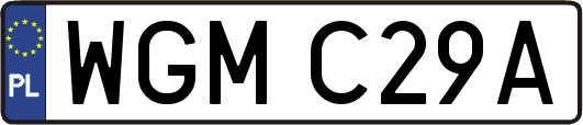 WGMC29A