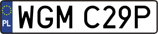 WGMC29P
