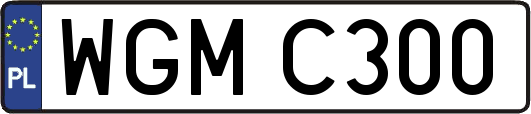 WGMC300
