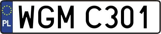WGMC301
