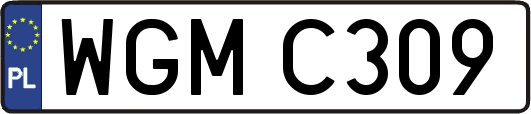 WGMC309